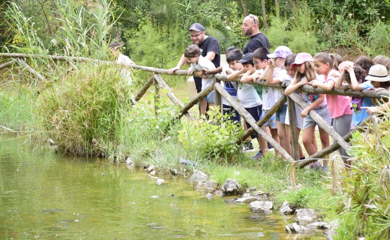 Città della Scienza e WWF Italia insieme per la cultura scientifica e la sostenibilità ambientale