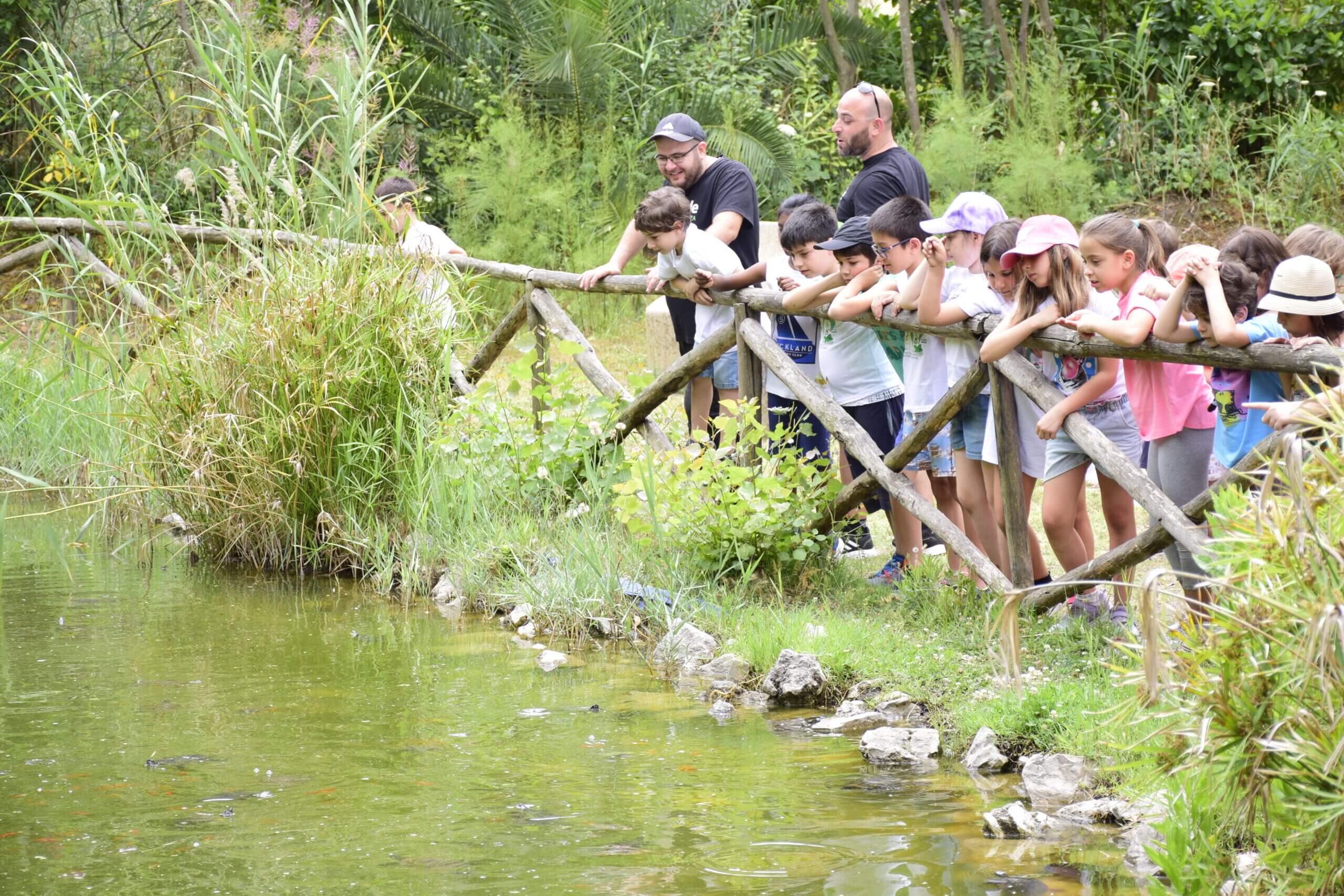Città della Scienza e WWF Italia insieme per la cultura scientifica e la sostenibilità ambientale
