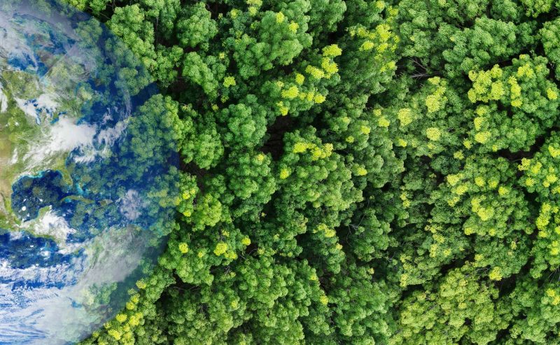 Scuola e ricerca insieme per la biodiversità: workshop formativo a Città della Scienza