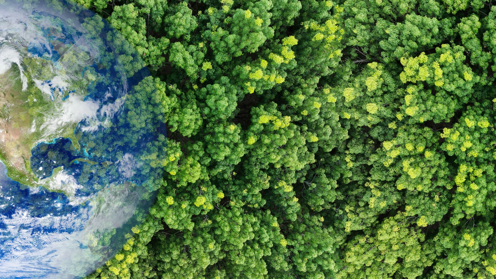 Scuola e ricerca insieme per la biodiversità: workshop formativo a Città della Scienza