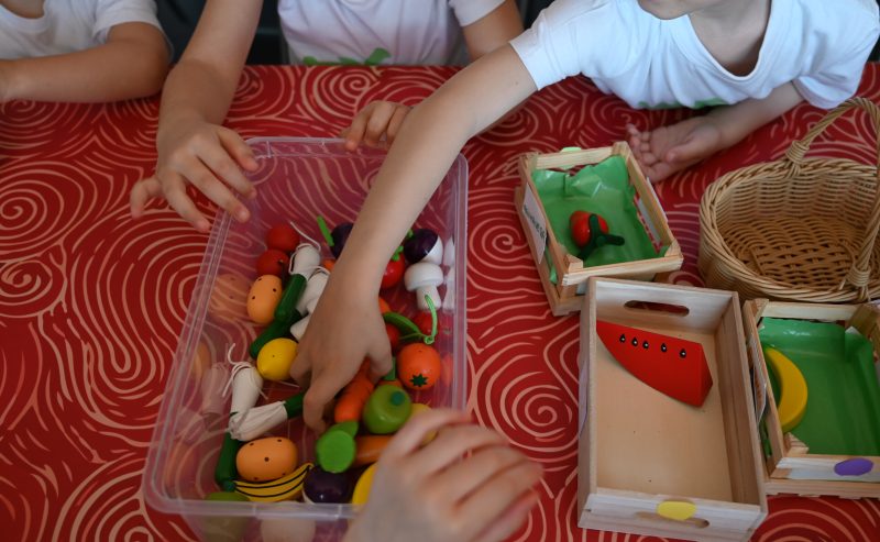 Al via i laboratori  del progetto “Frutta e Verdura nelle Scuole”