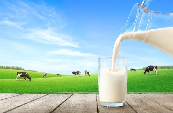 Copia di Giornata Mondiale del Latte